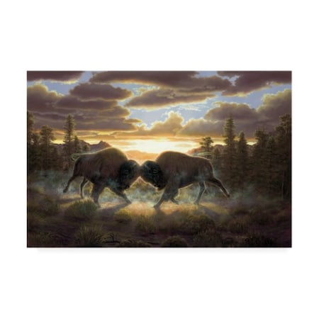 R W Hedge 'Buffalo Two' Canvas Art,16x24